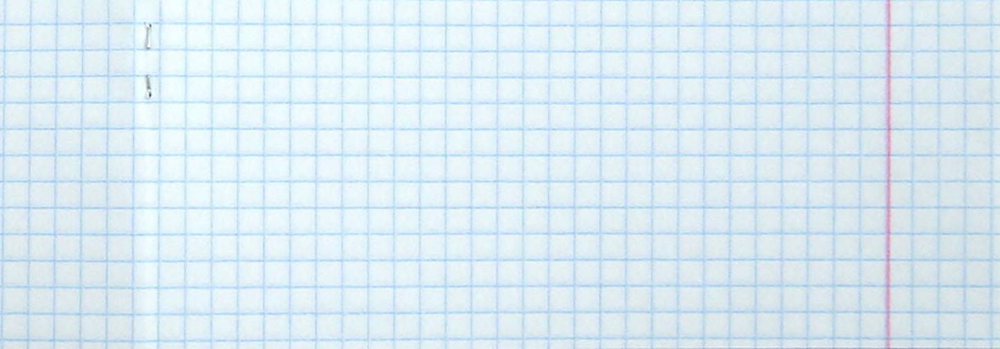 Тетрадь 48л,клетка,Прикольный Енот,5вид,48Т5В1