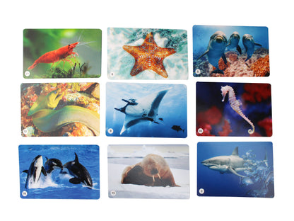 Jeu de société "Водный мир" (50 cartes)