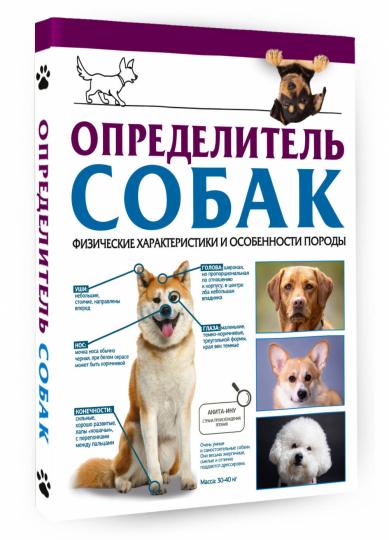 Определитель собак. Физические характеристики и особеннности породы