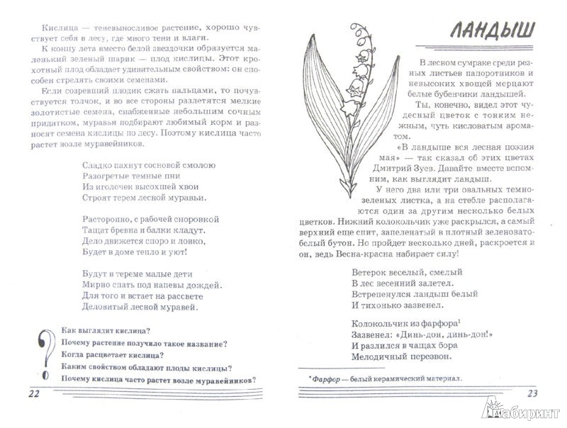 Цветы. Какие они? [Методика]