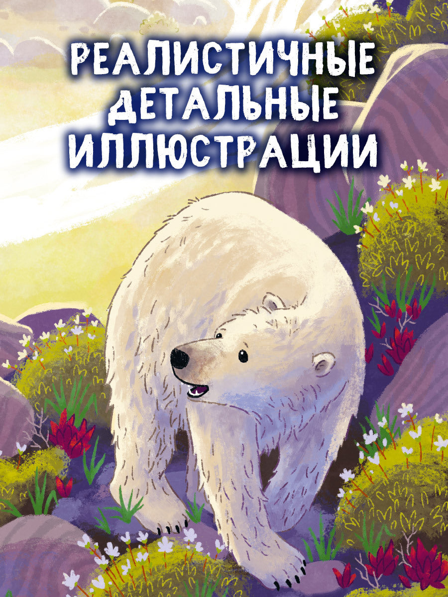 Удивительные животные. Bon médecin. Приключения в Арктике/Шармахер-Шрайбер К.