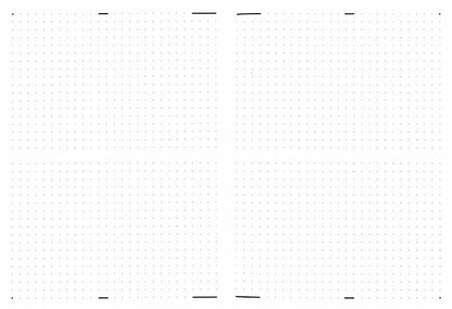 Бизнес-Блокнот " Зебра" белый / "Strips", two (А5, 192 стр., клетка)