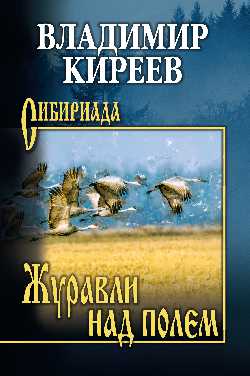 СИБ Журавли над полем (12+)