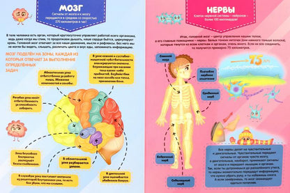 МАКСИ 235х310 7 разворотов книги на CARTONе. C'est un téléphone. Atlas national d'anatomie