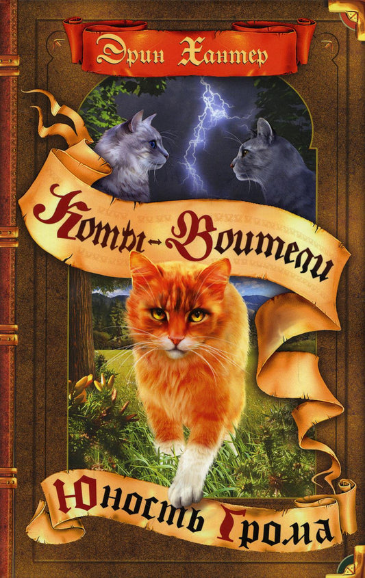Коты-воители. Цикл "Начало племен". Юность Грома.
