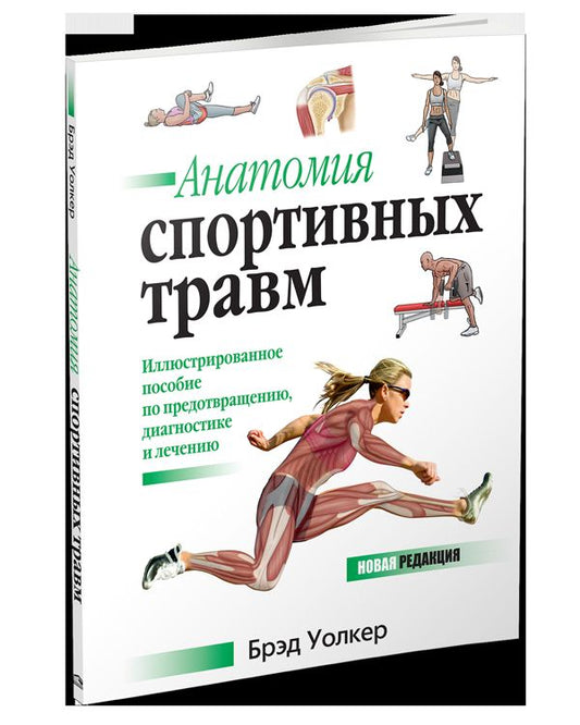 Анатомия спортивных травм