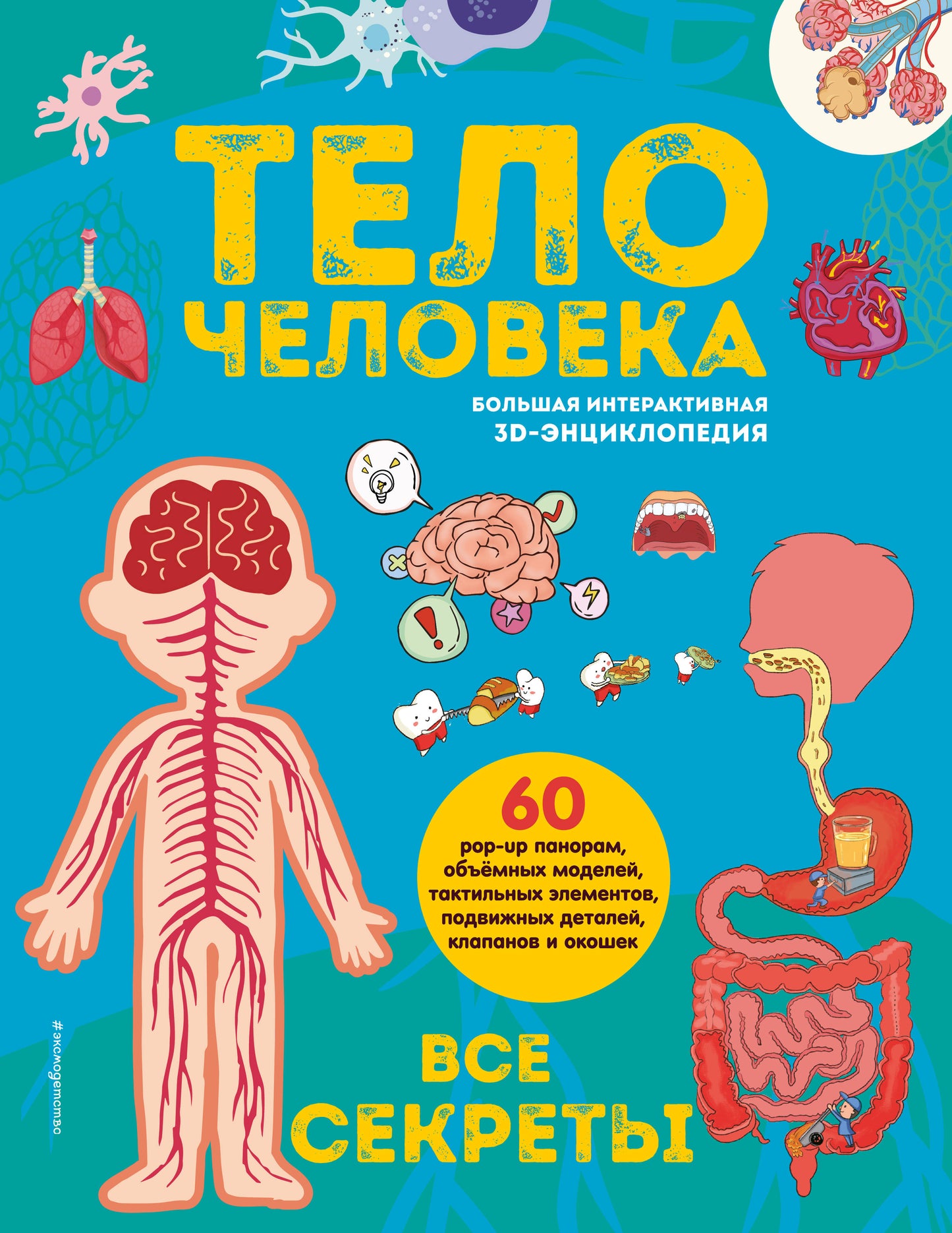Тело человека. Все секреты. Большая интерактивная 3D-энциклопедия
