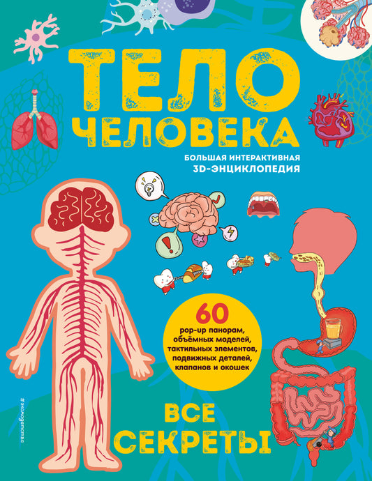 Тело человека. Все секреты. Большая интерактивная 3D-энциклопедия