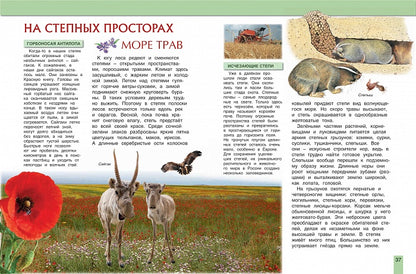 Животные России (Моя Россия)