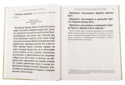 Псалтирь святого пророка и царя Давида (крупным шрифтом) (бледно желто-зеленый)