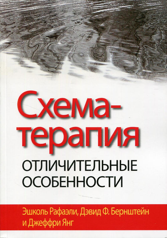 Схема-терапия: отличительные особенности