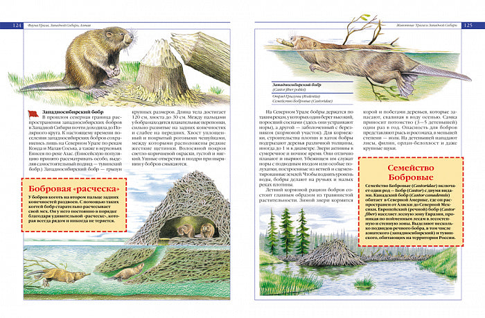 Красная книга России. Животные