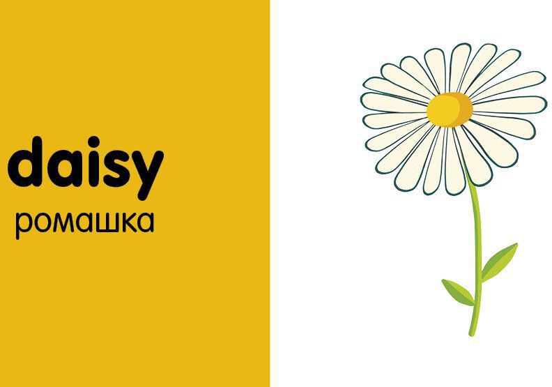 Мои первые слова. 15 книжек-кубиков. Английский язык
