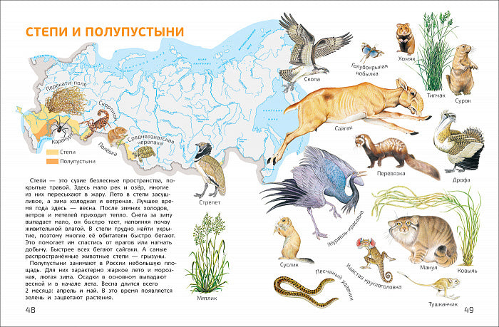 Мир и человек. Мой любимый географический атлас