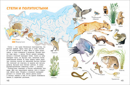 Мир и человек. Мой любимый географический атлас