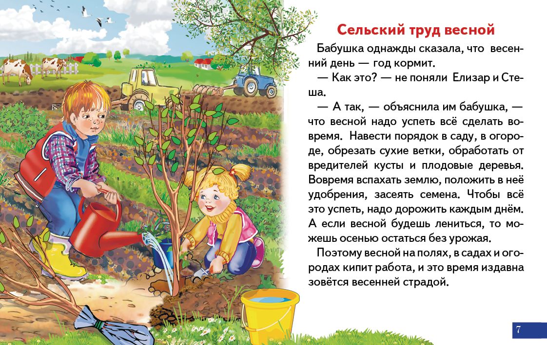 Cartes. Времена года ; Cartes. La ville de Brême