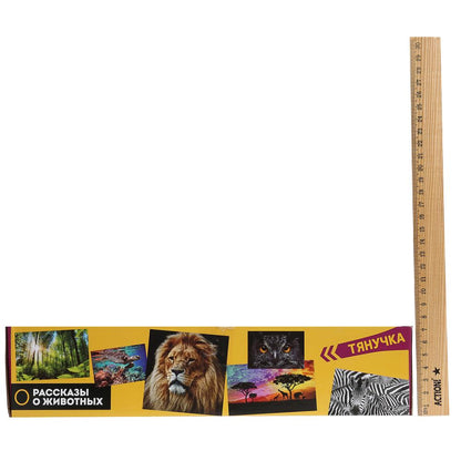 Jouet en plastique pour dinosaure, 12,7-20 cm, 6 pouces, 36 pouces/écran, ESPAGNE, jusqu'à 24 pouces, en cor.10 pouces