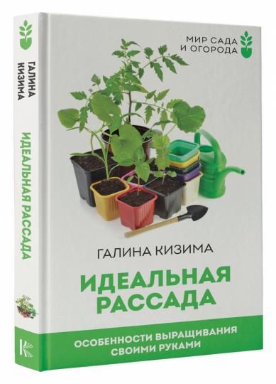 Идеальная рассада. Особенности выращивания своими руками
