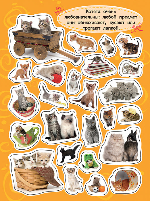 100 autocollants. Котята