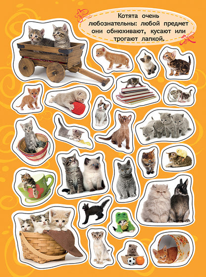 100 autocollants. Котята