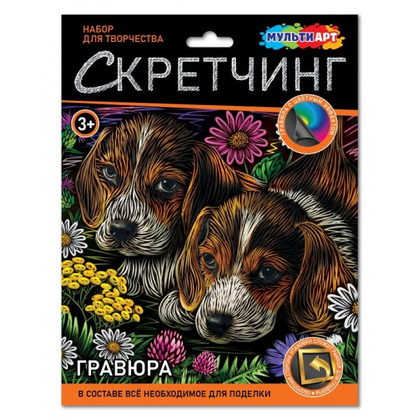 Gravure à gratter 18*24 cm pour femmes, МУЛЬТИ АРТ в кор.120шт