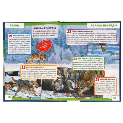 ВОЛКИ. 100 ФАКТОВ. ЭНЦИКЛОПЕДИЯ А5 С РАЗВИВАЮЩИМИ ЗАДАНИЯМИ.165Х215ММ, 48 СТР., УМКА в кор.22шт