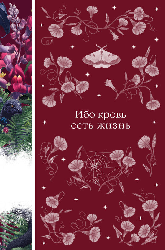 Набор: Элегантная мистика (из 4-х книг: "Дракула", "Кармилла", "Ибо кровь есть жизнь", "Истории о призраках")