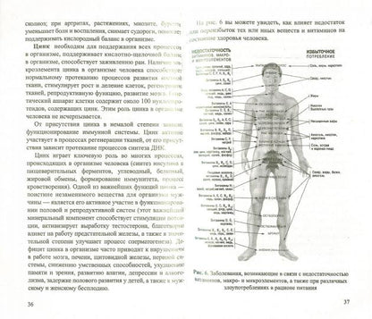 Тыква. Мифы и реальность