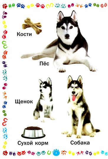 Votre bébé et vos enfants. Книга для самых маленьких