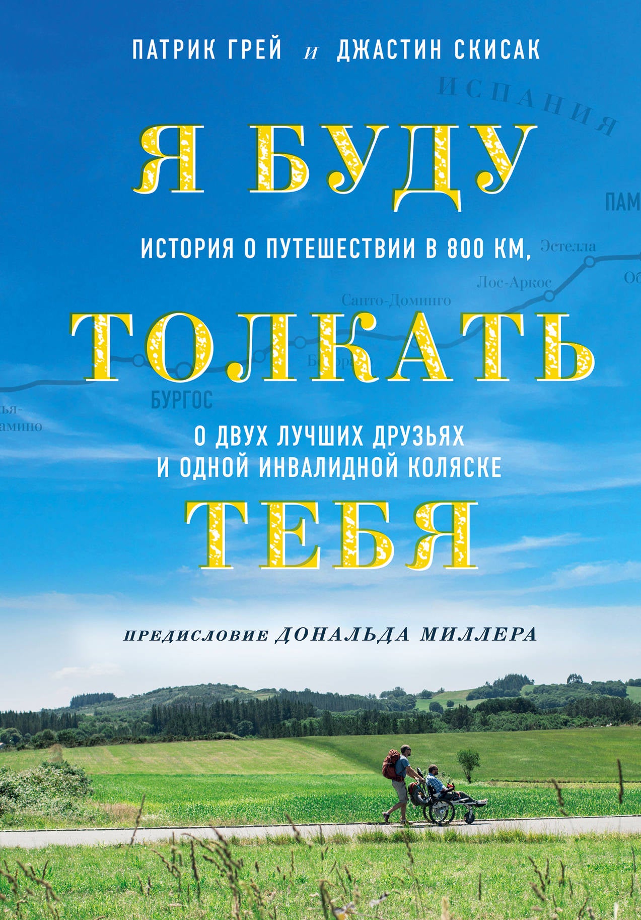 Я буду толкать тебя. История о путешествии в 800 км, о двух лучших друзьях и одной инвалидной коляске