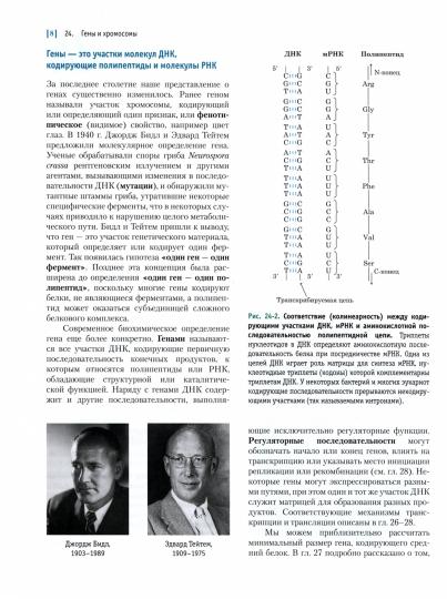 Основы биохимии Ленинджера: В 3 т. Т.3 : Informations préalables. 3-е изд., испр. Nelson D.