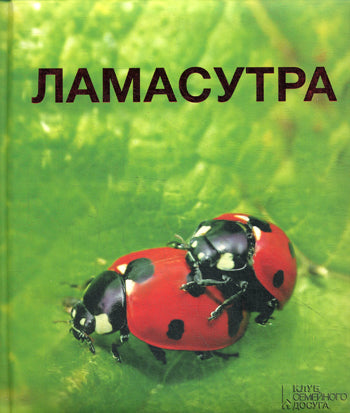Lamasutra