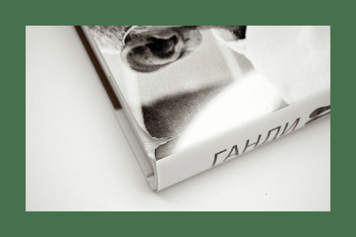 Ганди: Иллюстрированная биография (р1)