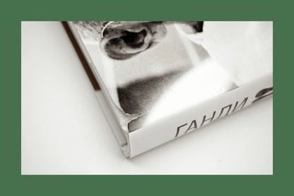 Ганди: Иллюстрированная биография (р1)