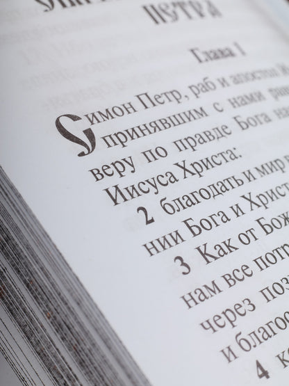 Новый Завет Господа нашего Иисуса Христа