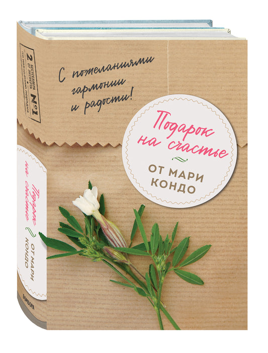 Module pour la location de Mari Condo (complexe avec 2 lits)