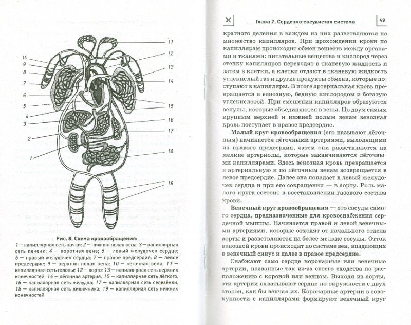 Дайджест"Тяньши":профилактика и лечение заболев