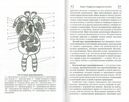 Дайджест"Тяньши":профилактика и лечение заболев