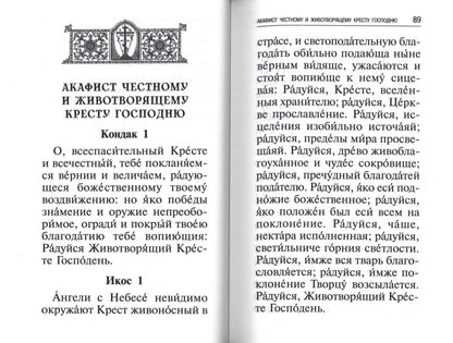 Акафисты, читаемые в болезнях, скорбях и особых нуждах