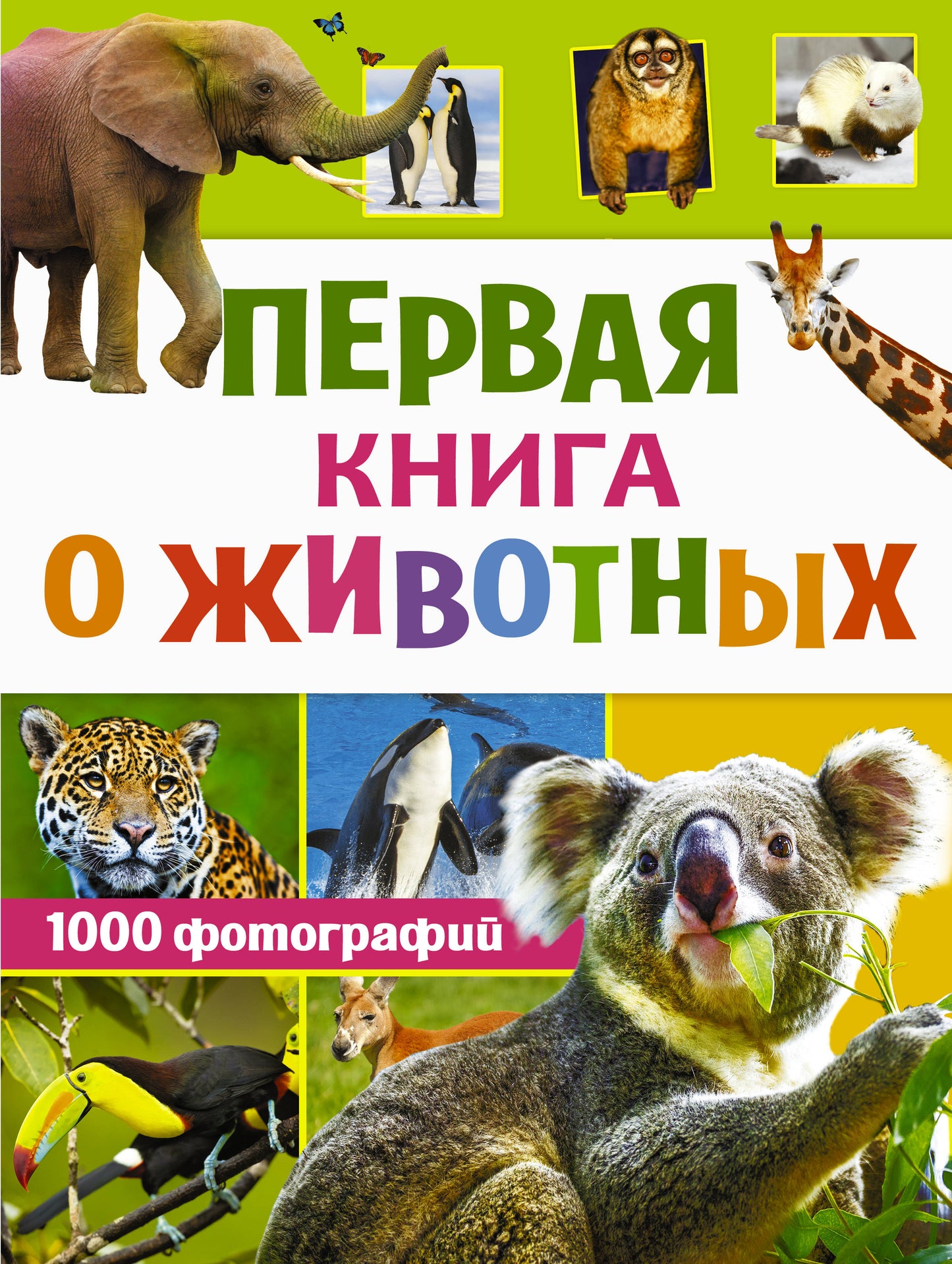 Первая книга о животных. 1000 photos