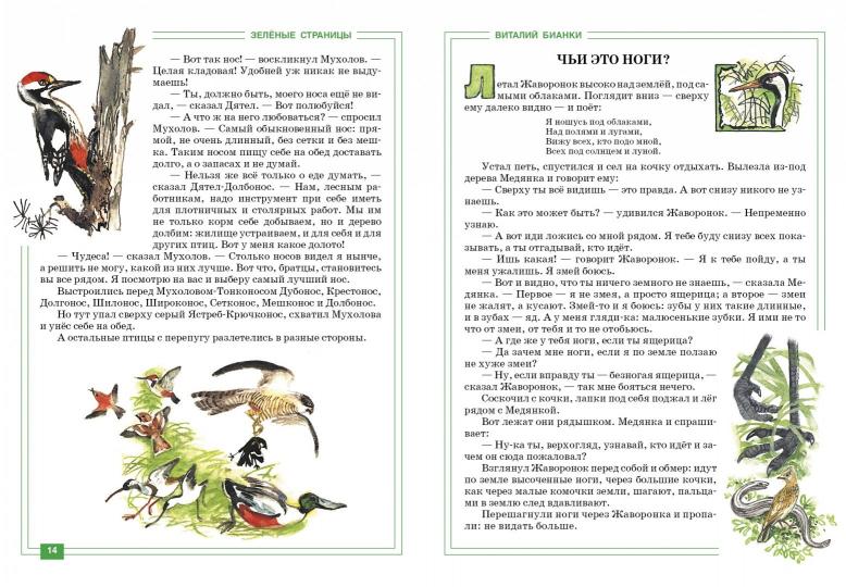 Зелёные страницы. Environnement écologique pour les écoles secondaires