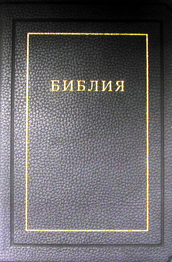 Библия (1171)(канонич) 075TI кож.с золот.син.