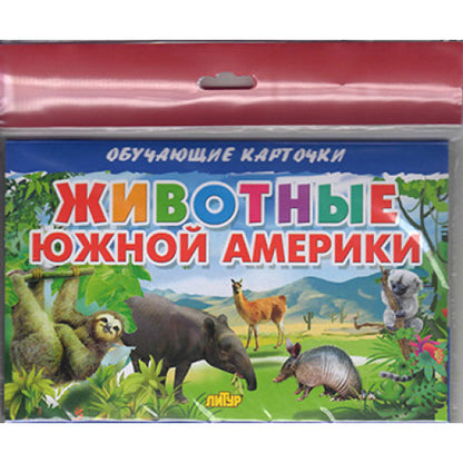 Карточки (европодвес). Животные Южной Америки ; Карточки (европодвес). Животные Южной Америки