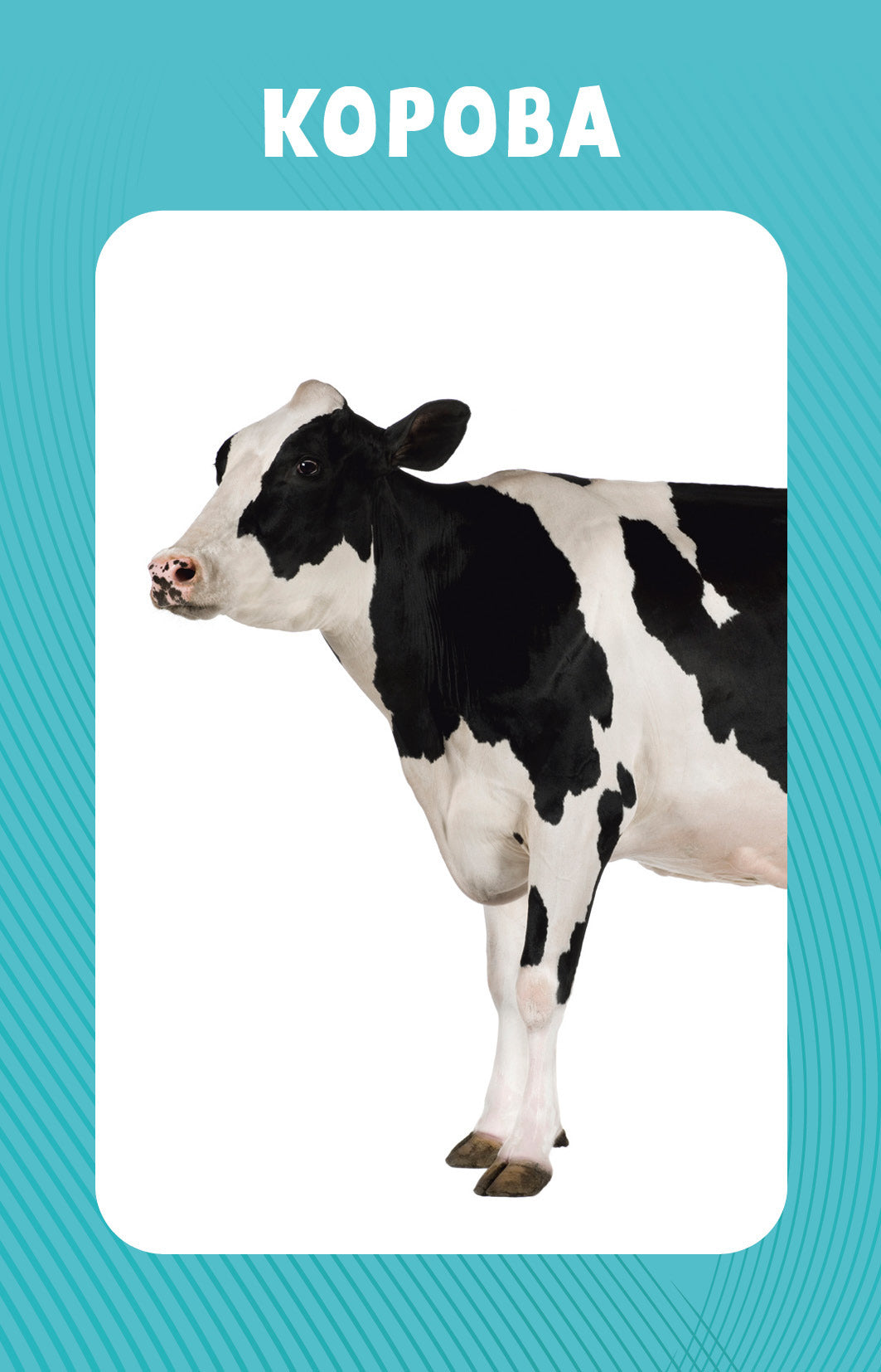 100 животных. Развивающие карточки для малышей. (50 карточек)