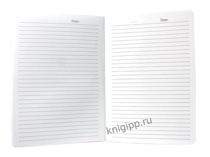 Mon Art. БЛОКНОТ в линию Вдохновляясь Легендой аниме. Кот в поле