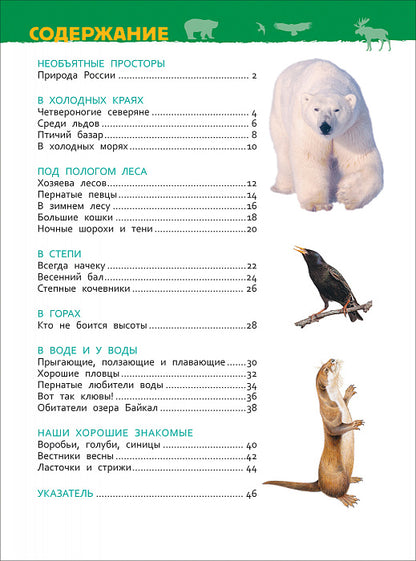 Животные России (Энциклопедия для детского сада)