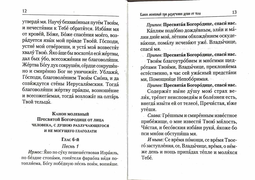 Псалтирь и молитвы по усопшим