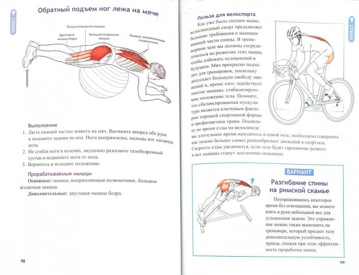 Анатомия велосипедиста