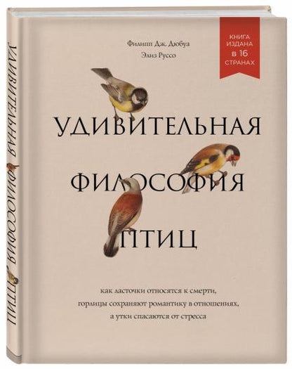 Удивительная философия птиц. Как ласточки относятся к смерти, горлицы сохраняют романтику в отношениях, а утки спасаются от стресса