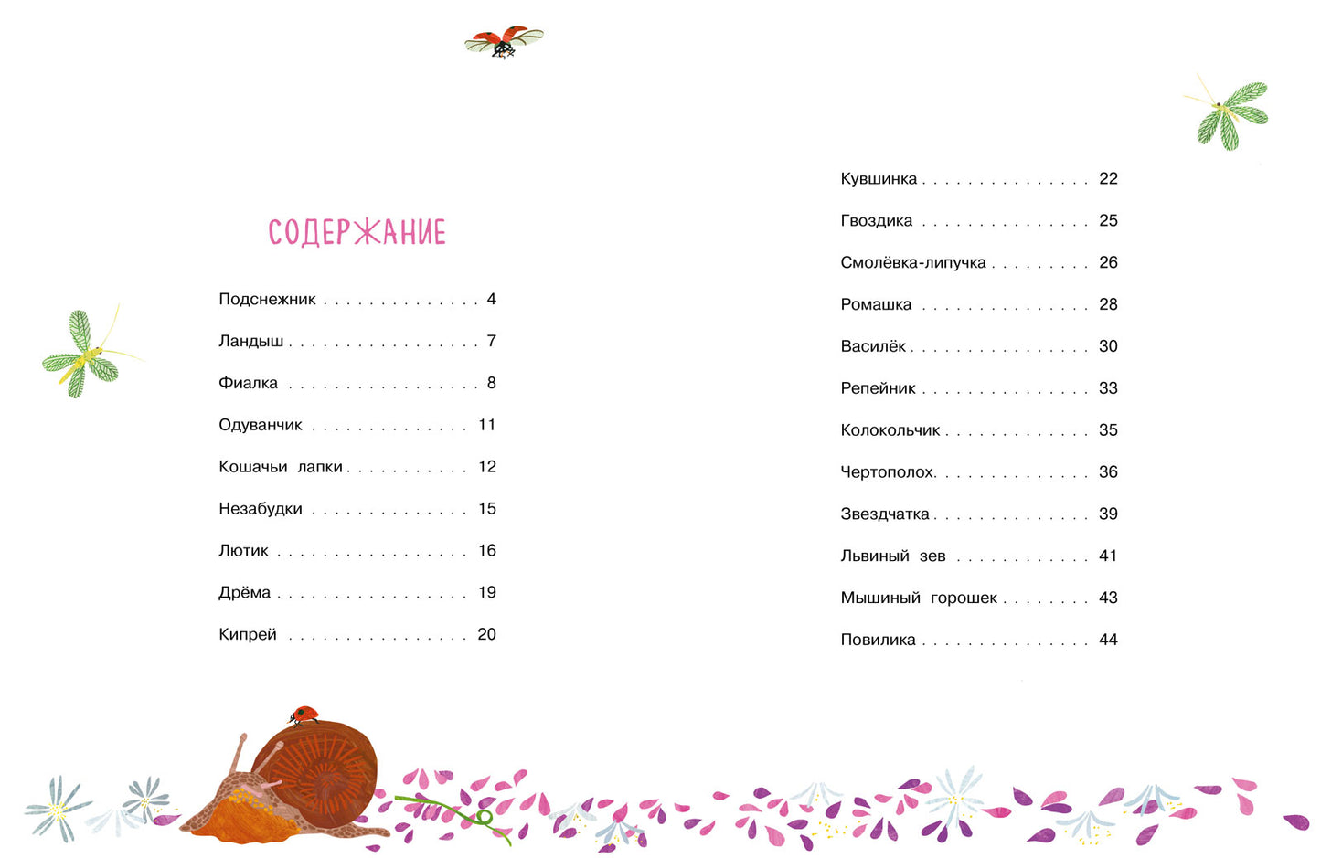 Nos couleurs